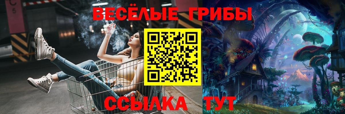 хочу наркоту  Вход с VPN  Вязьма  Галлюциногенные грибы мухоморы 